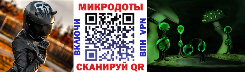 где купить наркоту  kraken ТОР  Галлюциногенные грибы Psilocybine cubensis  Зерноград 