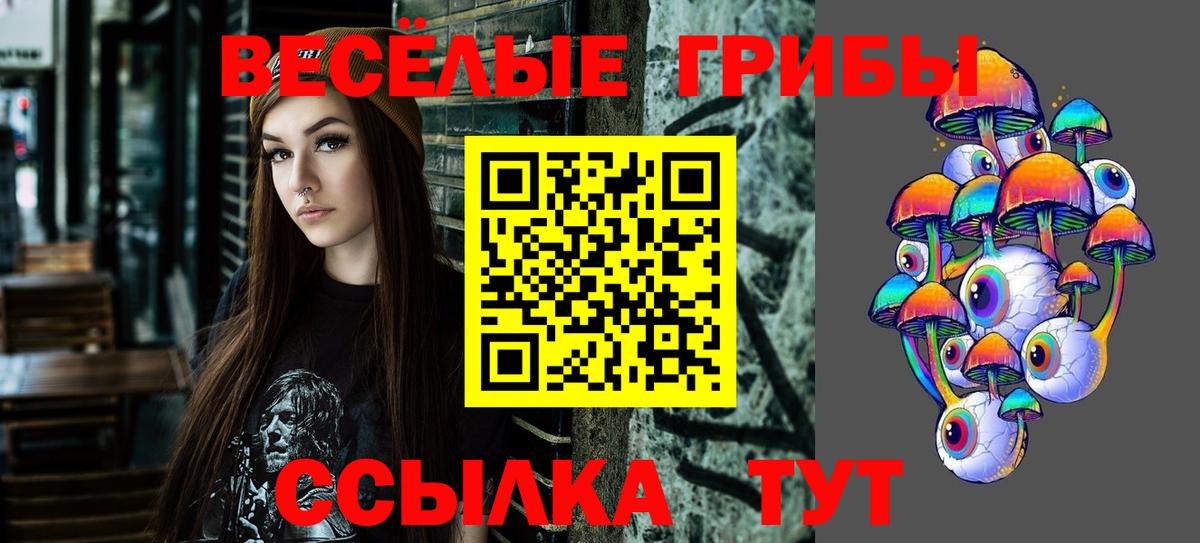 Галлюциногенные грибы ЛСД Зерноград